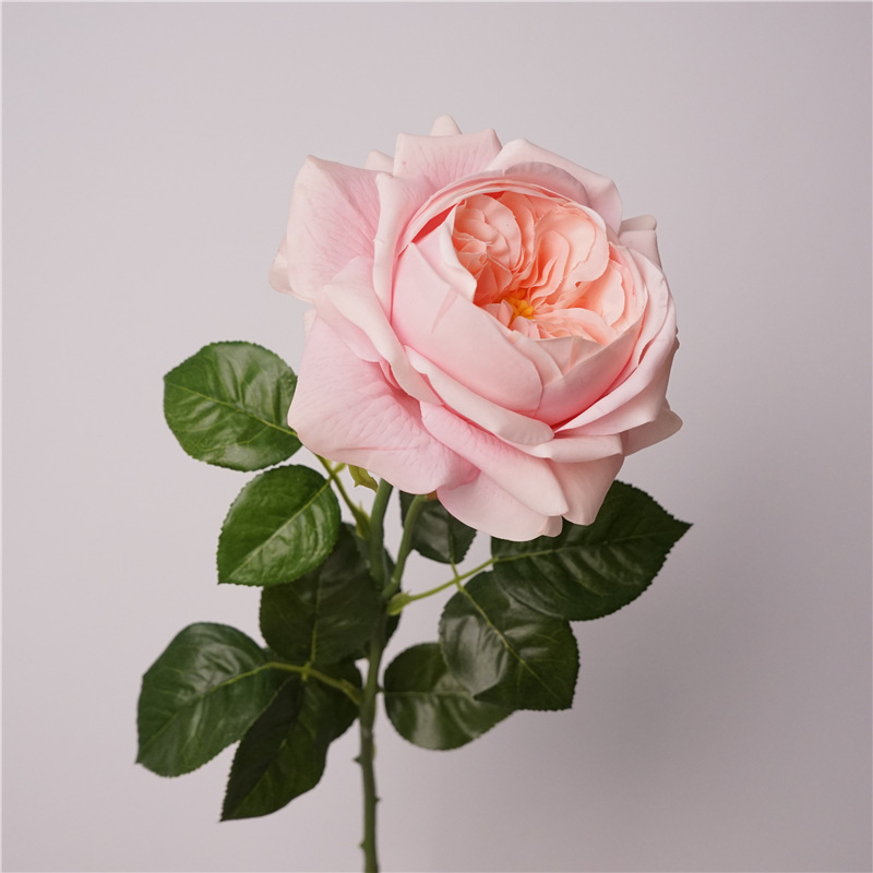 3pcs Moisturizing Rose Simulat - Photography Lighting Simulator Free recensie en prijs