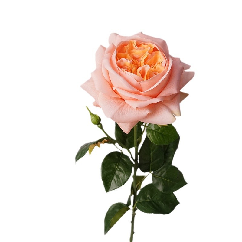 3pcs Moisturizing Rose Simulat - Photography Lighting Simulator Free recensie en prijs