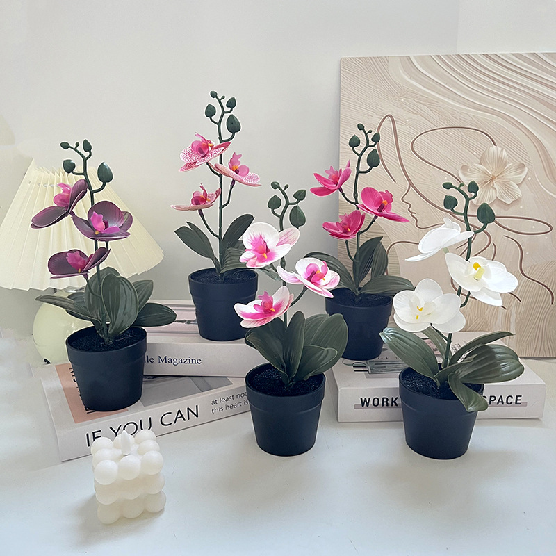 Light luxury black clay pot, b - Photography Lighting Simulator Free recensie en prijs