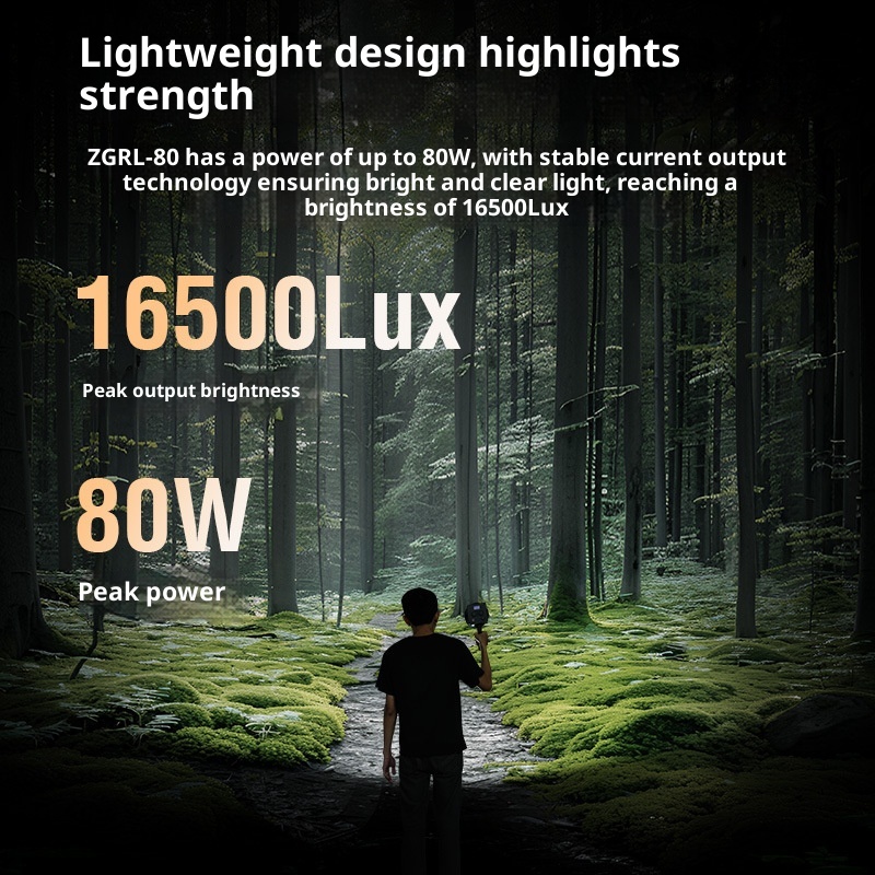 ZGRL80 80W COB LED Video Light - Photography Lighting For Products recensie en prijs