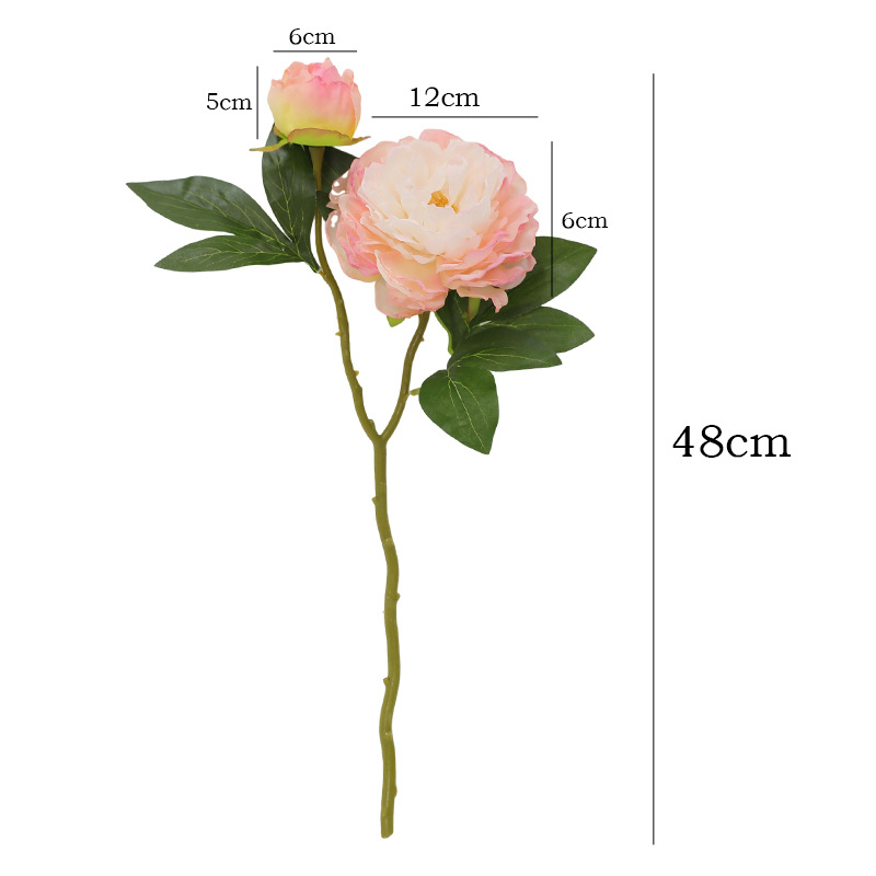 1PC Retro 2 Head Peony Simulat - Photography Lighting Simulator Free recensie en prijs