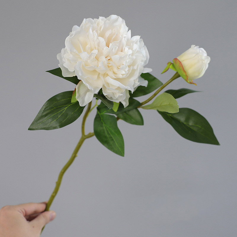 1PC Retro 2 Head Peony Simulat - Photography Lighting Simulator Free recensie en prijs