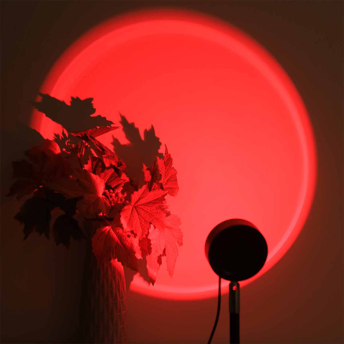 Sunset projection light remote - Photography Lighting Setup recensie en prijs