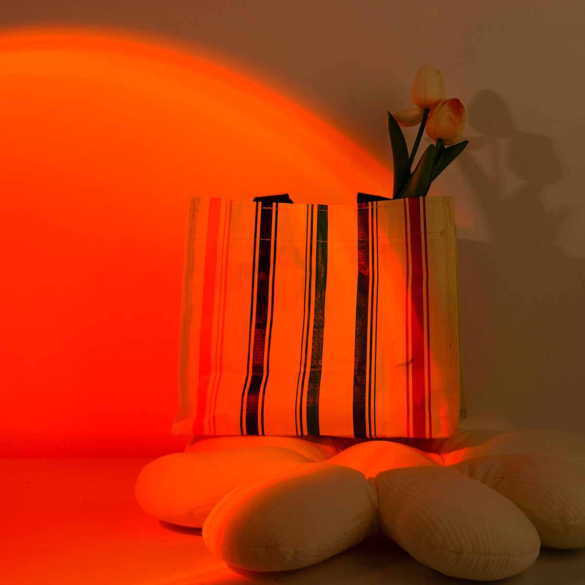 Sunset projection light remote - Photography Lighting Setup recensie en prijs