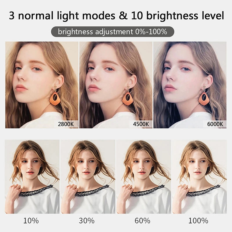 10 inch LED Selfie Ring Light  - Photography Lighting Overhead recensie en prijs